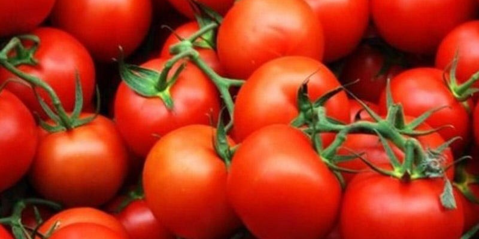 Featured Article Image 1