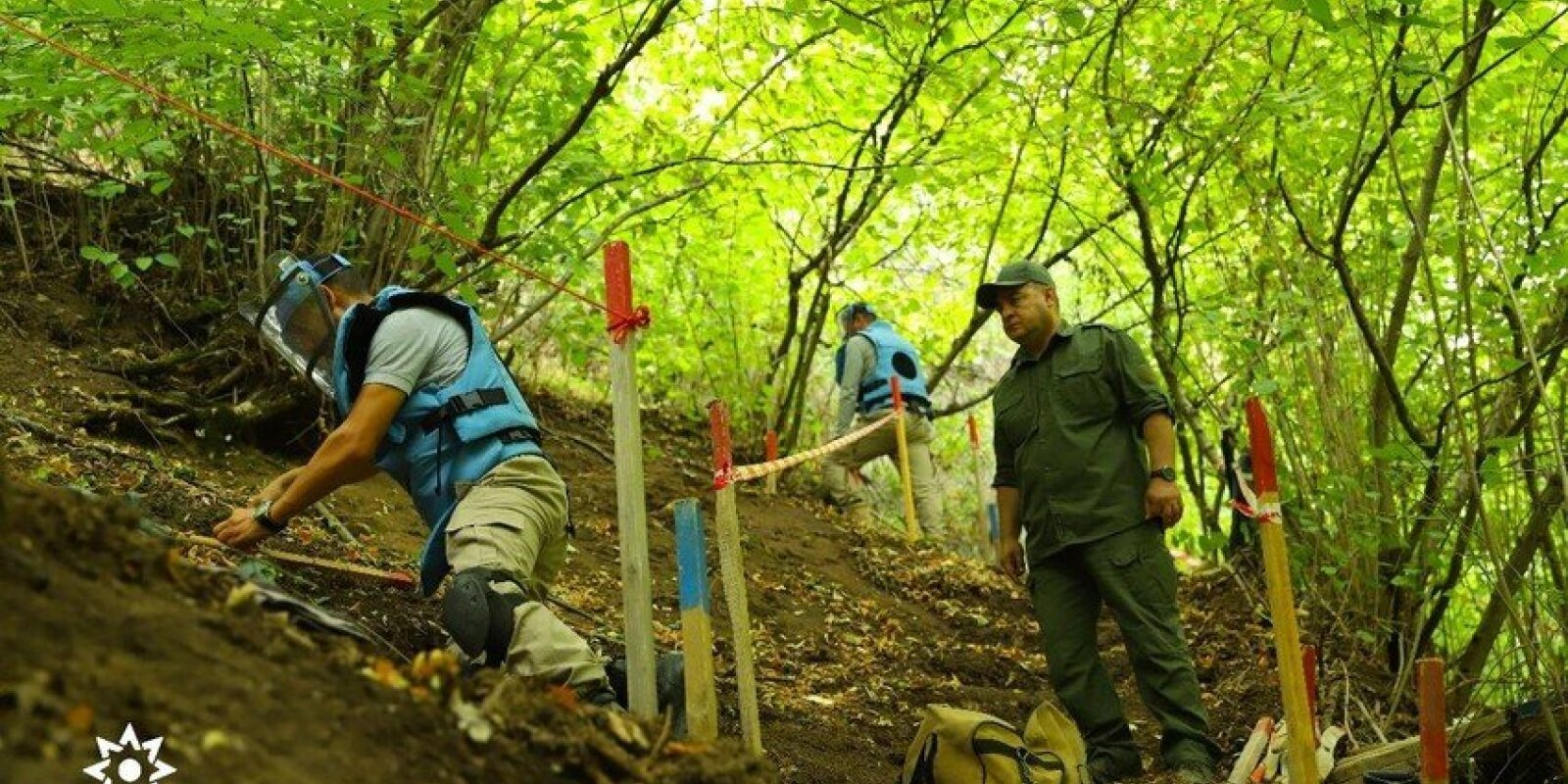 Featured Article Image 1